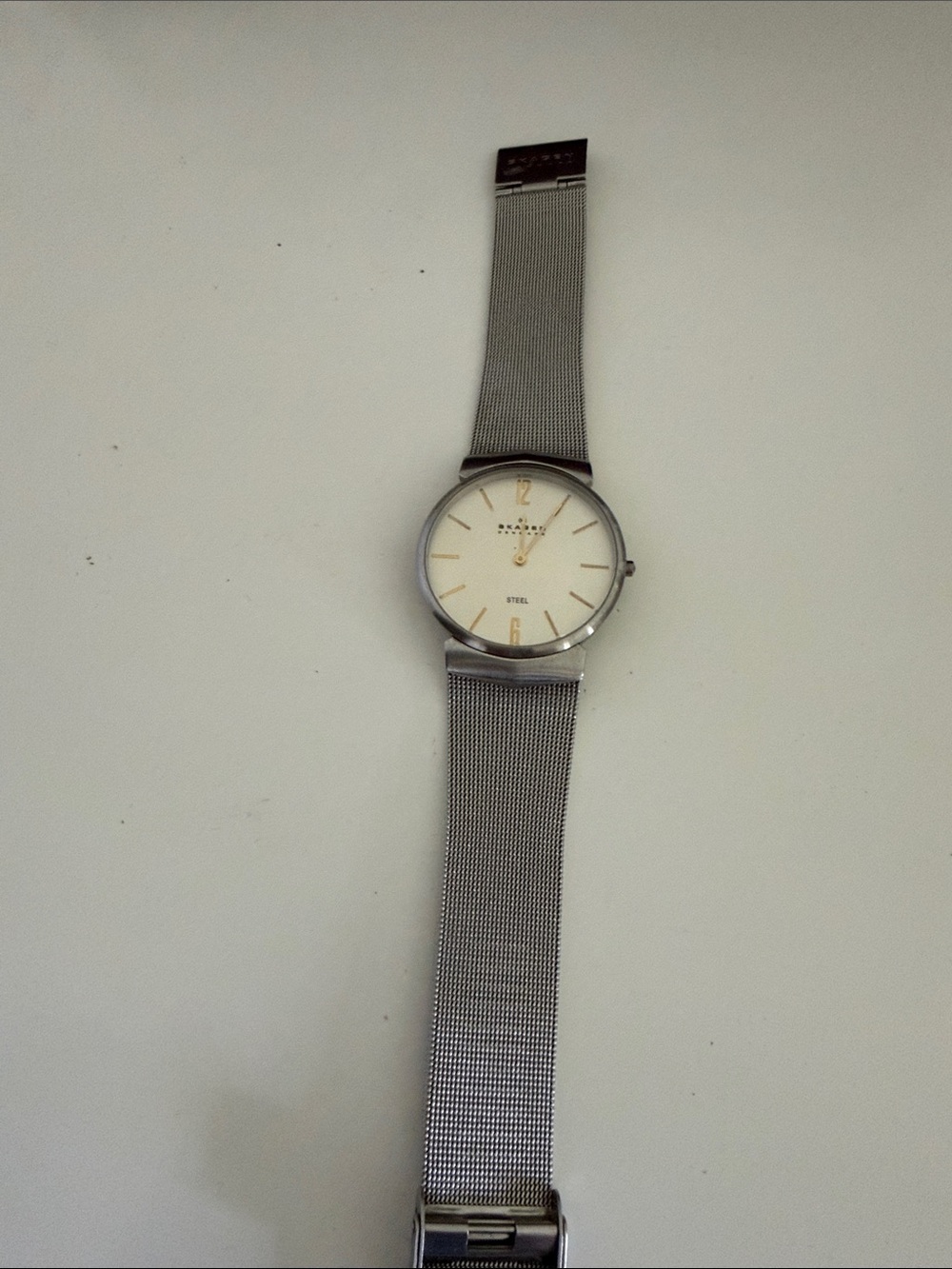 Skechers Minimalist Mesh Band Watch in Silver and White